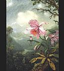 Martin Johnson Heade Hummingbird Perched on an Orchid Plat painting